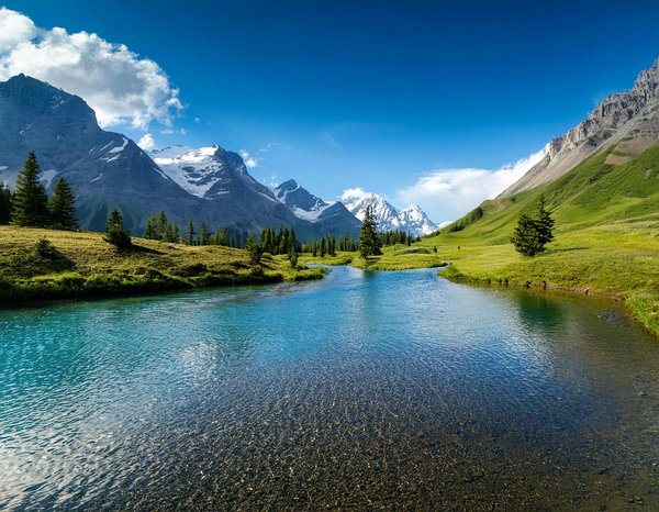 How Can Travelers Explore the UK's Unique Wildlife?